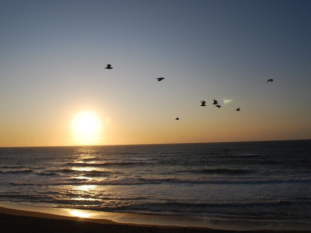 Admiral's Beach Retreat - photo 33