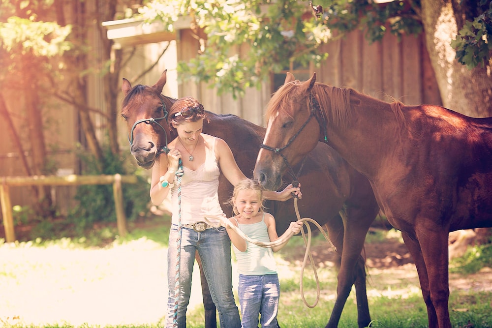 Seventy four Ranch - photo 24