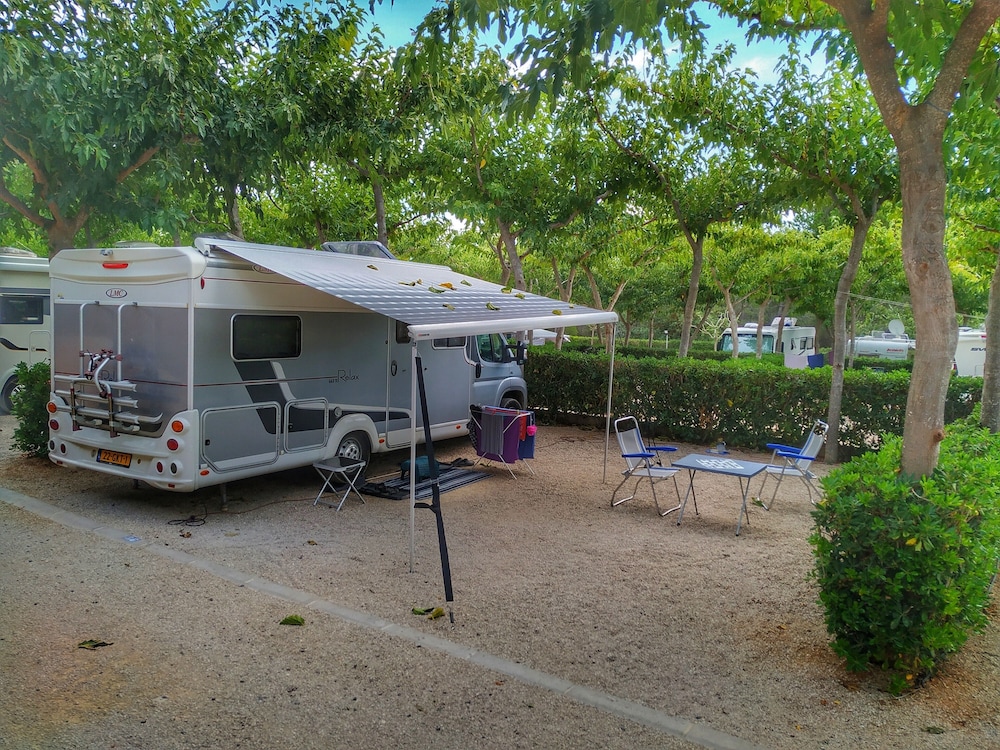 Camping Ribamar — Alcoceber — photo 3
