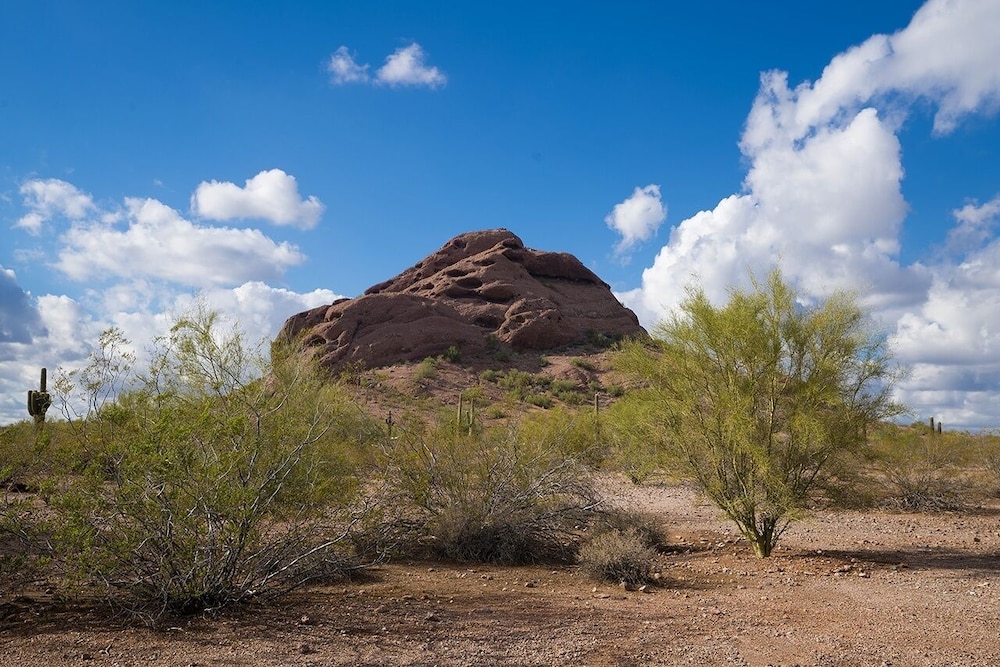 Scottsdale Park Suites - photo 18
