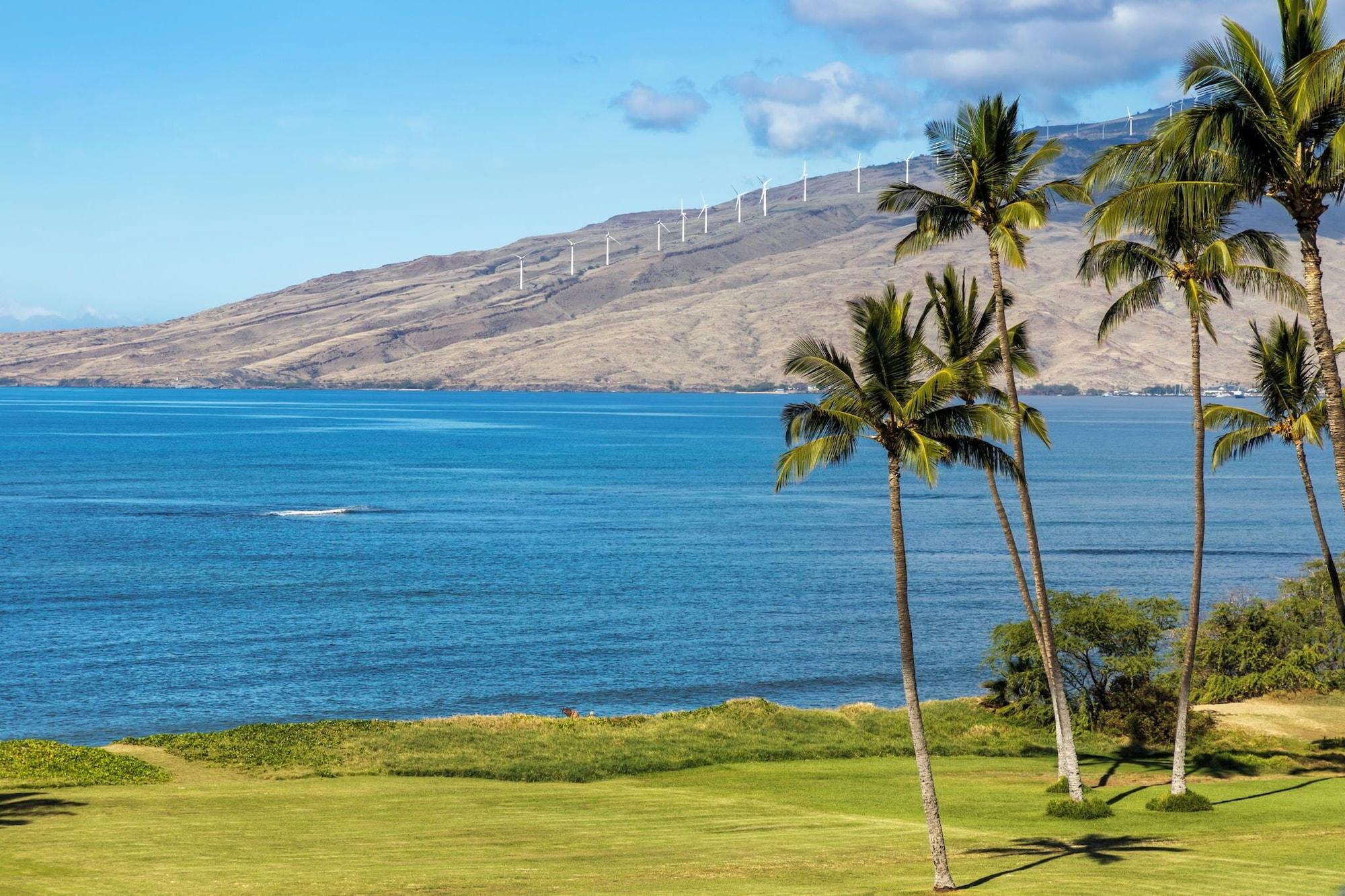Maui Sunset - photo 14