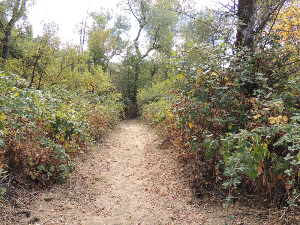 Indian Creek Lodge - photo 41