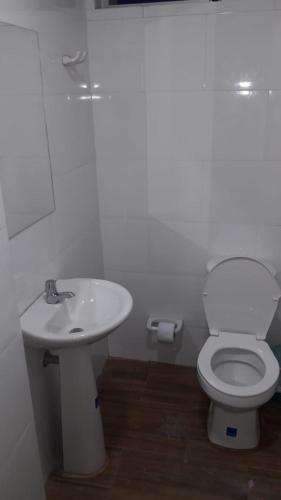 Hotel ibiza Central in Monteria, Colombia