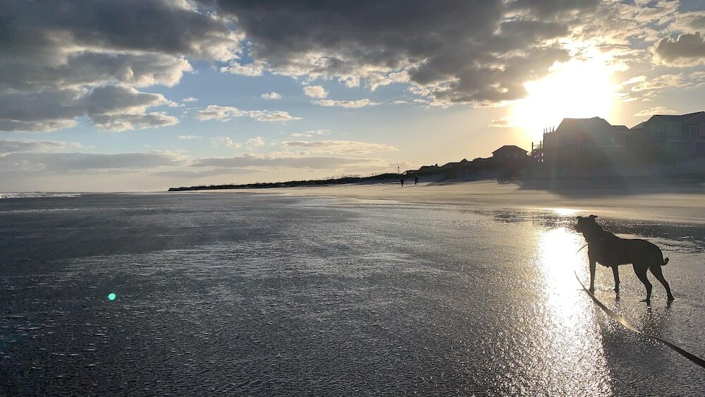 Sea Vista Motel - photo 18
