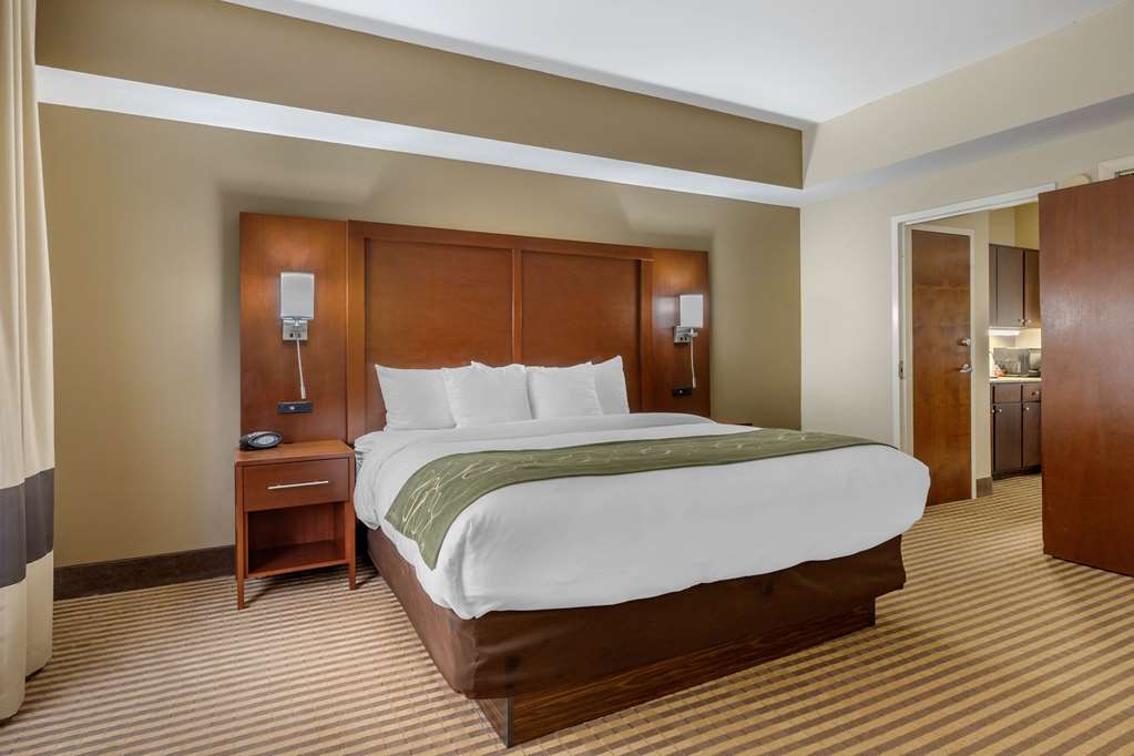Comfort Suites Johnson City near University - photo 22