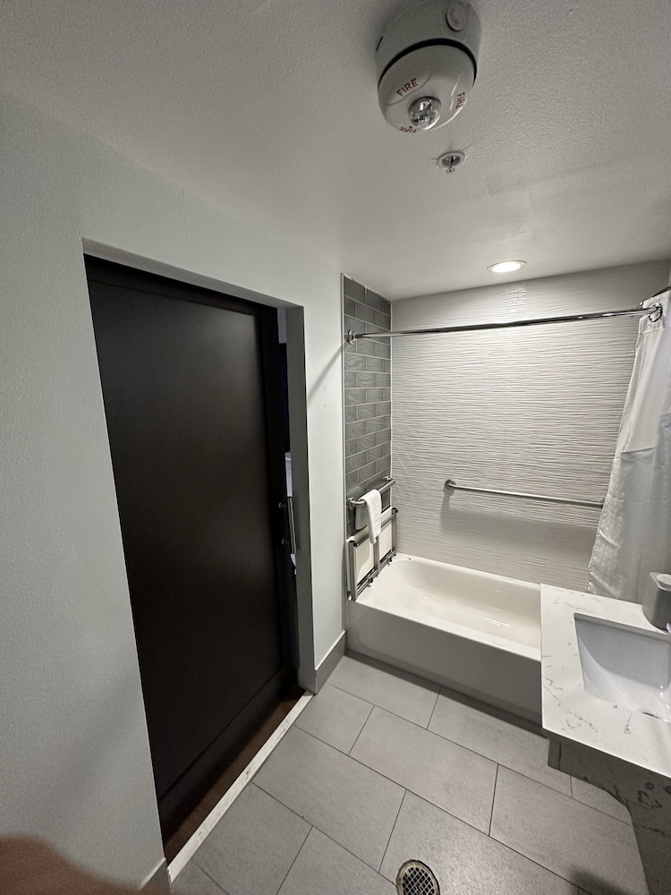 Holiday Inn Express Dallas Downtown - photo 43