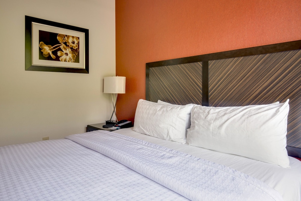 Homewood Suites by Hilton Doylestown - photo 8