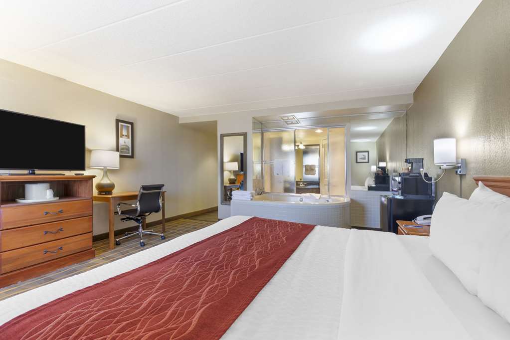 Comfort Inn University Center - photo 38