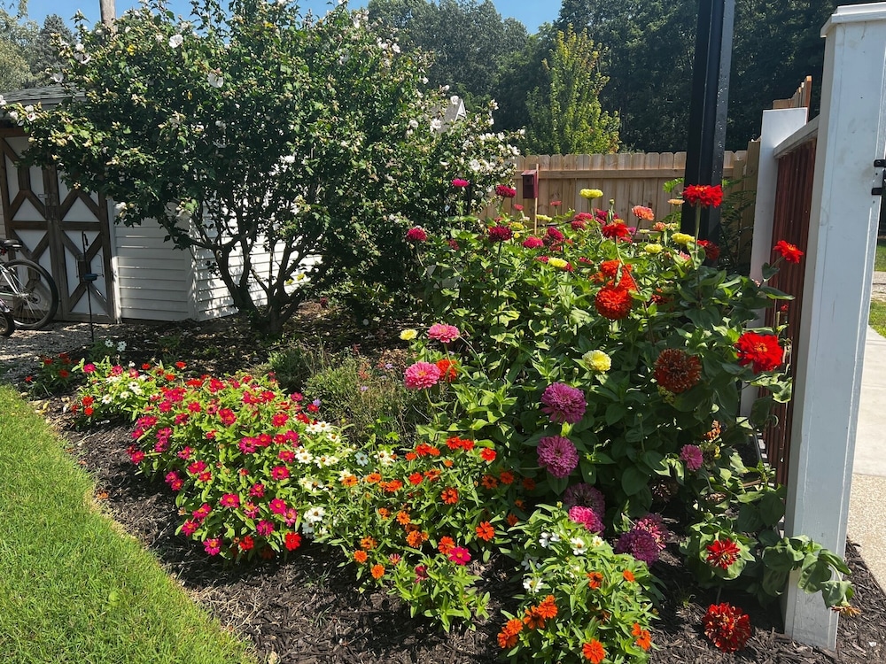 Rosemont Inn Resort B&B - photo 37