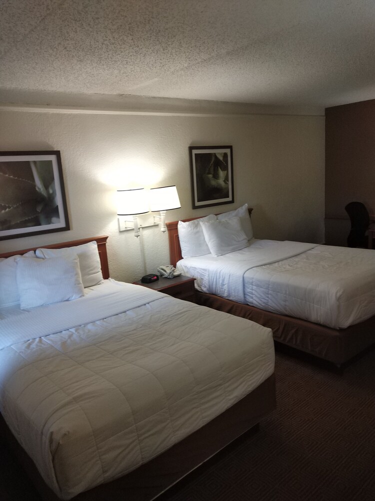 Travelodge by Wyndham Mobile - photo 16