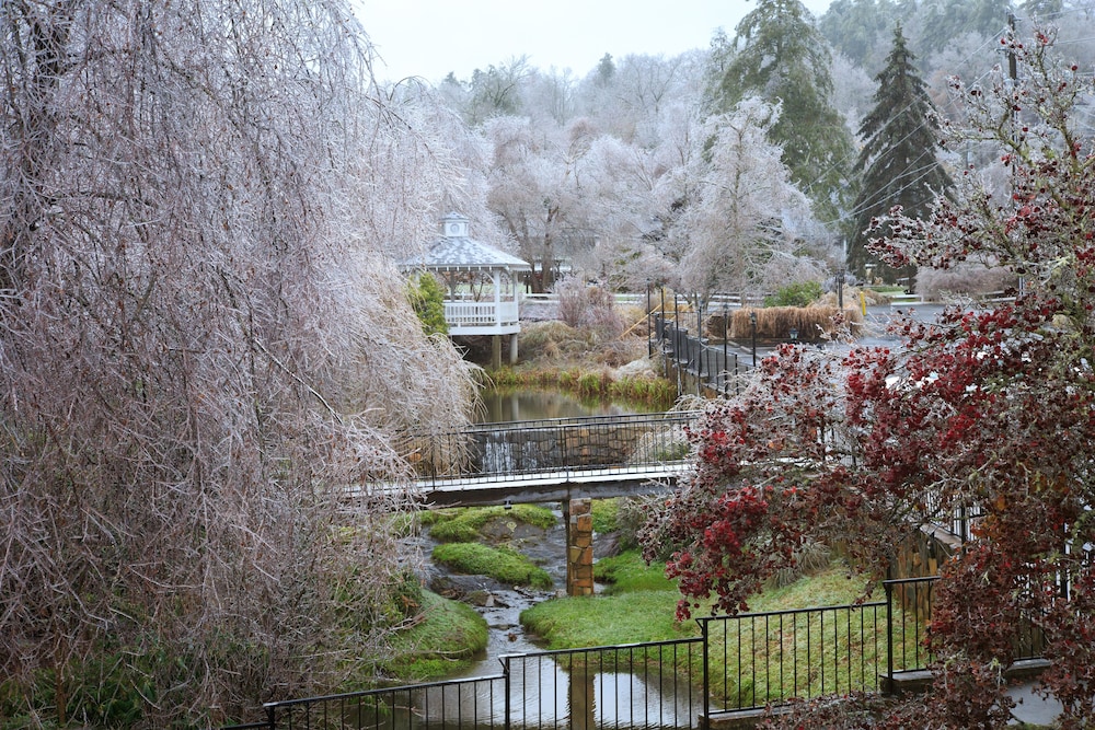 Meadowbrook Inn - photo 50