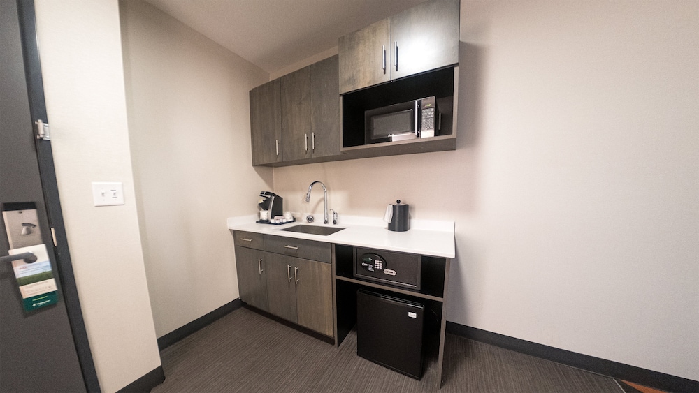 Holiday Inn and Suites Philadelphia W Drexel Hill - photo 25