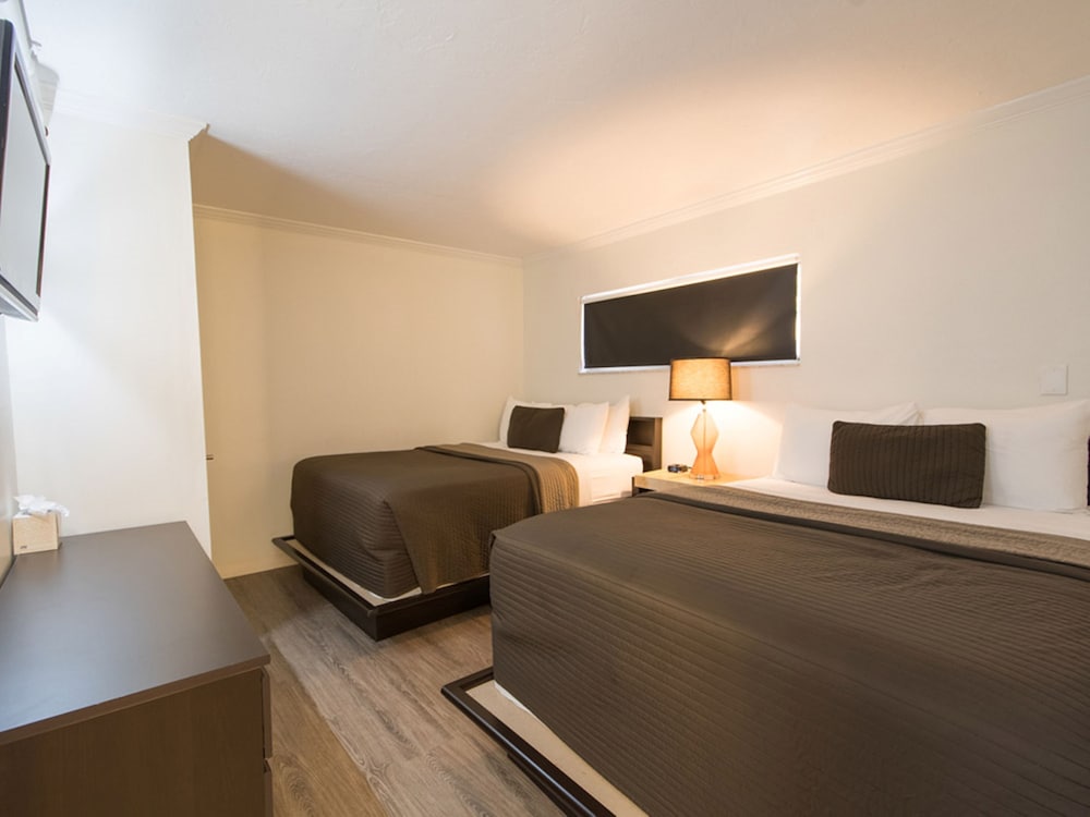 Hibiscus Suites Gateway to Siesta Key - photo 2