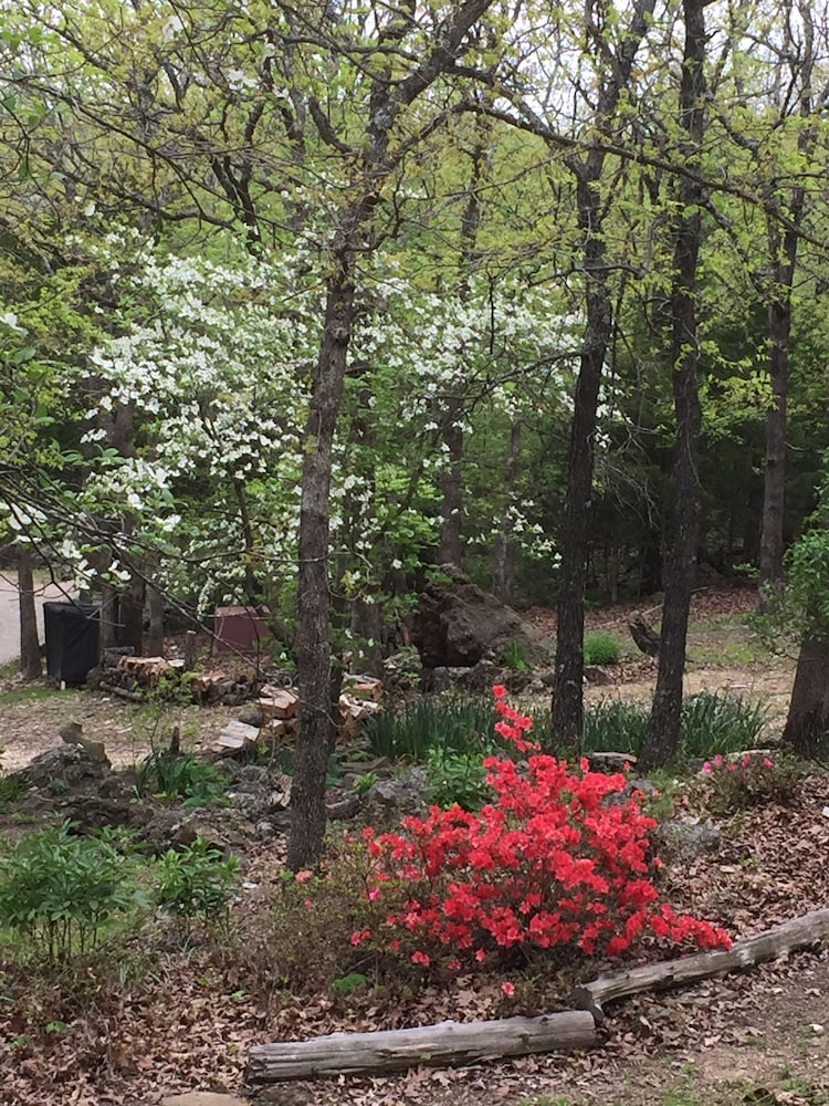 Cherokee mountain log cabin resort - photo 65