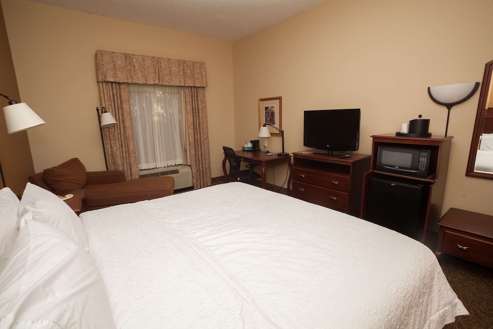 Hampton Inn Oneonta - photo 22