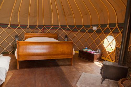 Ash Yurt — Edenbridge — photo 2