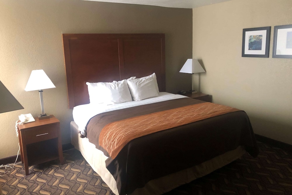 AmericInn by Wyndham Memphis East - photo 6