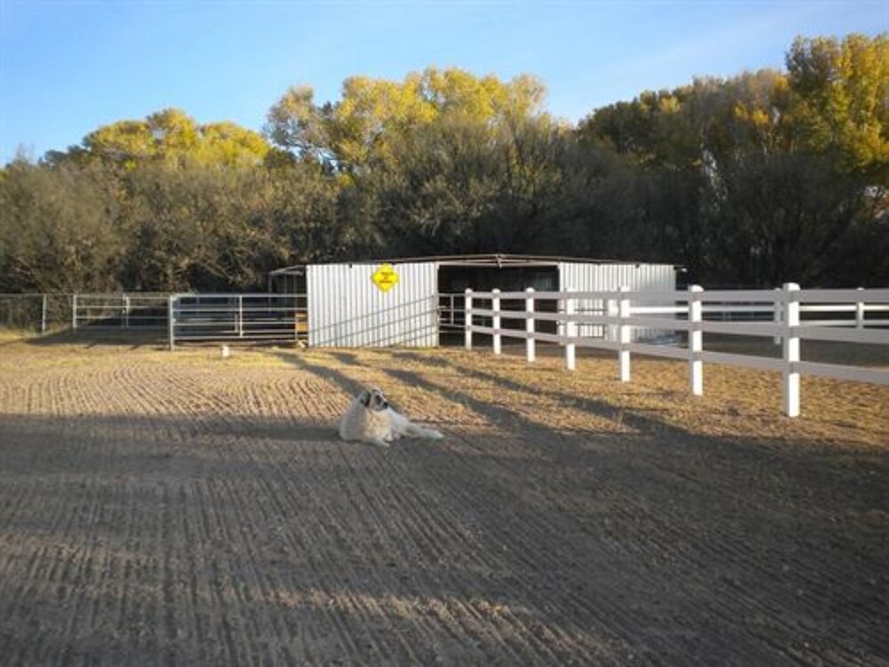Lazy Dog Ranch - photo 24