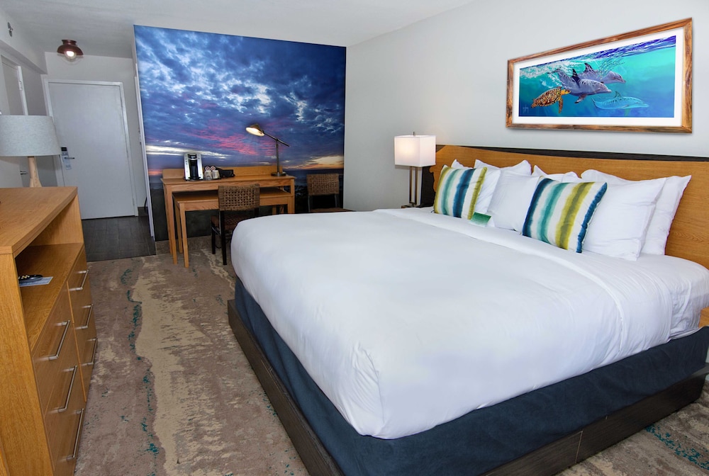 Guy Harvey Resort on St Augustine Beach - photo 18