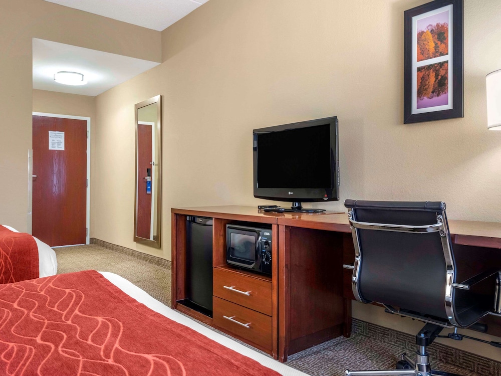 Comfort Inn Duncansville Altoona - photo 10