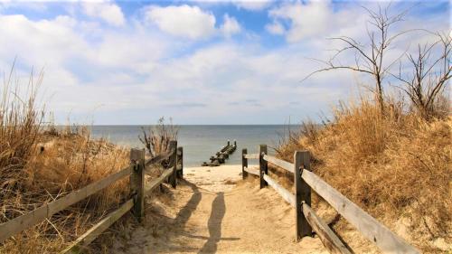 Coles Cove Pet Friendly — Villas