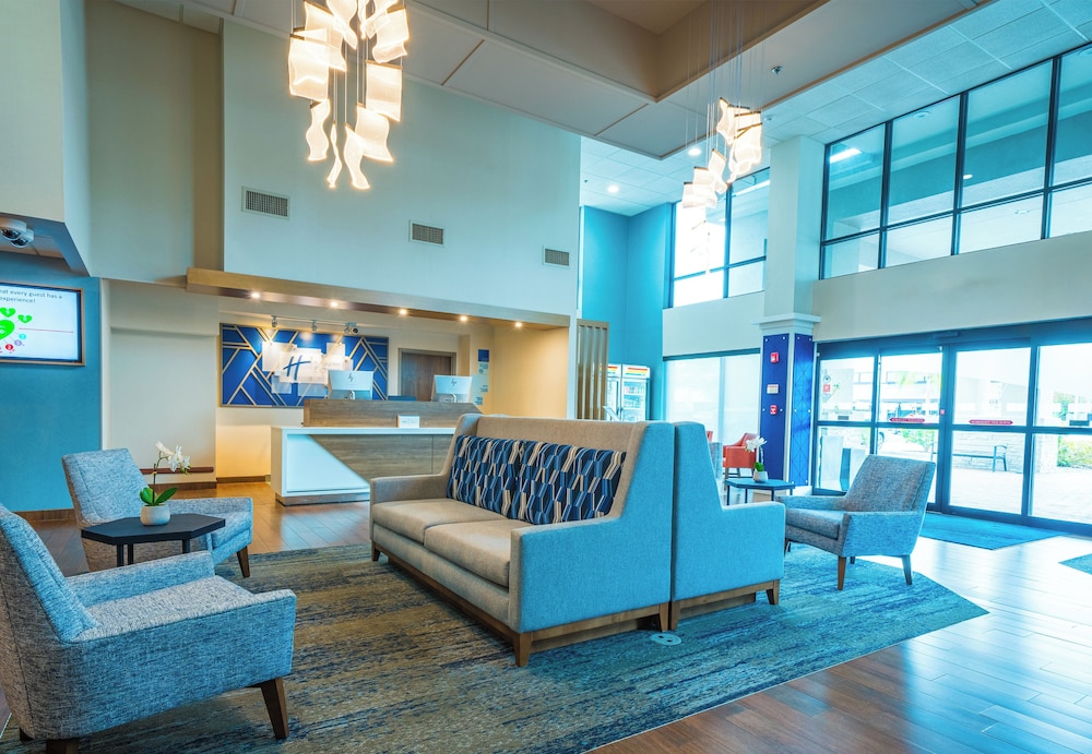Holiday Inn Express Hotel & Suites Tampa Northwest Oldsmar by IHG - photo 4
