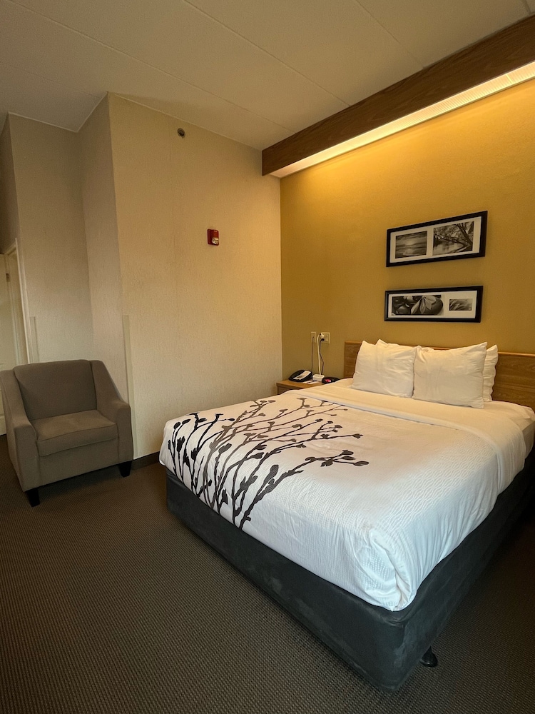 Spark by Hilton Lynchburg - photo 3