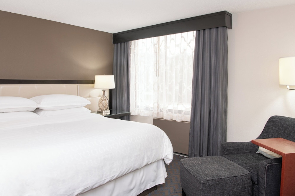 Sheraton Minneapolis West Hotel - photo 13