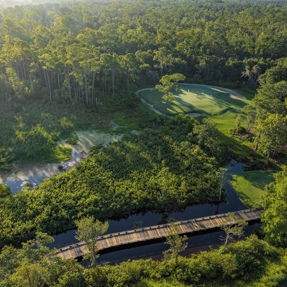 Omni Orlando Resort at ChampionsGate - photo 98