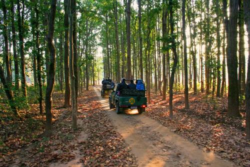 Hotel Amrapali - carbon neutral hotel in Pachmarhi
