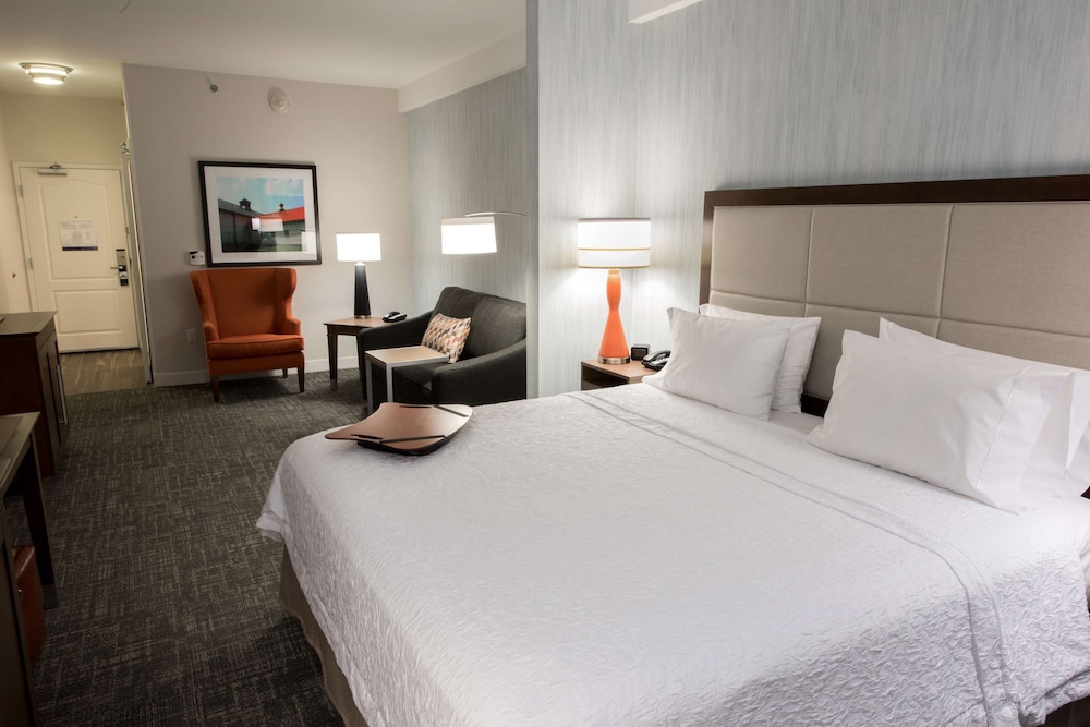 Hampton Inn Albany Western Ave University Area - photo 9