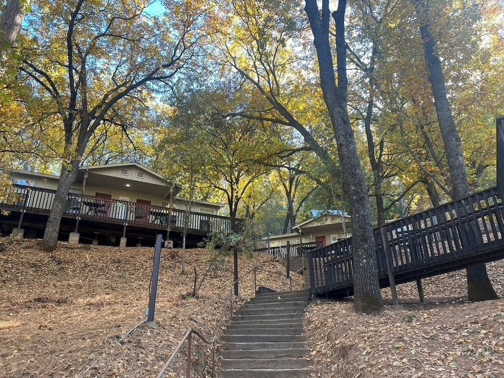 Yosemite Bug Rustic Mountain Resort - photo 143