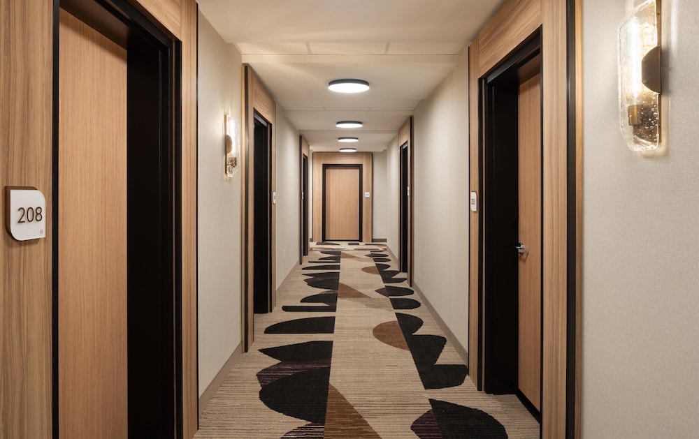 Hilton Garden Inn Greenville University Area - photo 3