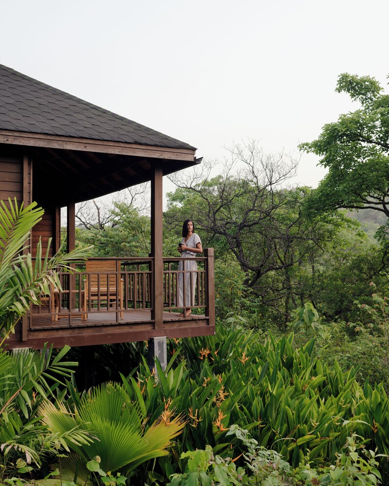 The Postcard Hideaway Netravali Wildlife Sanctuary Goa in Mormugao, India