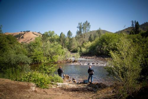 Ponderosa RV Resort - photo 4