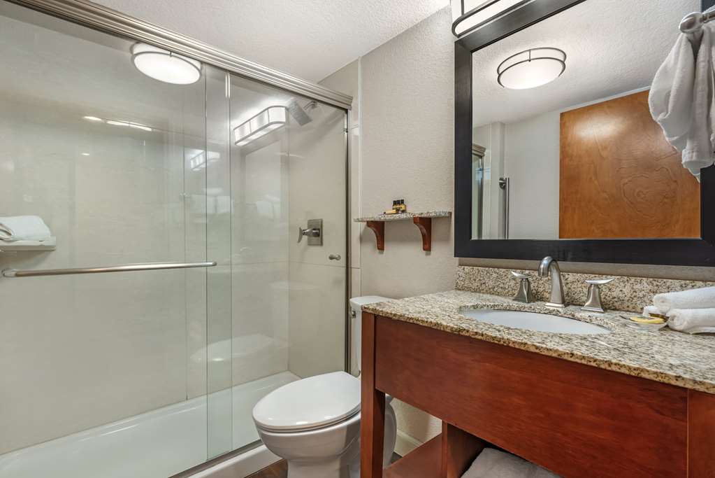 Best Western Plus Peak Vista Inn & Suites - photo 41
