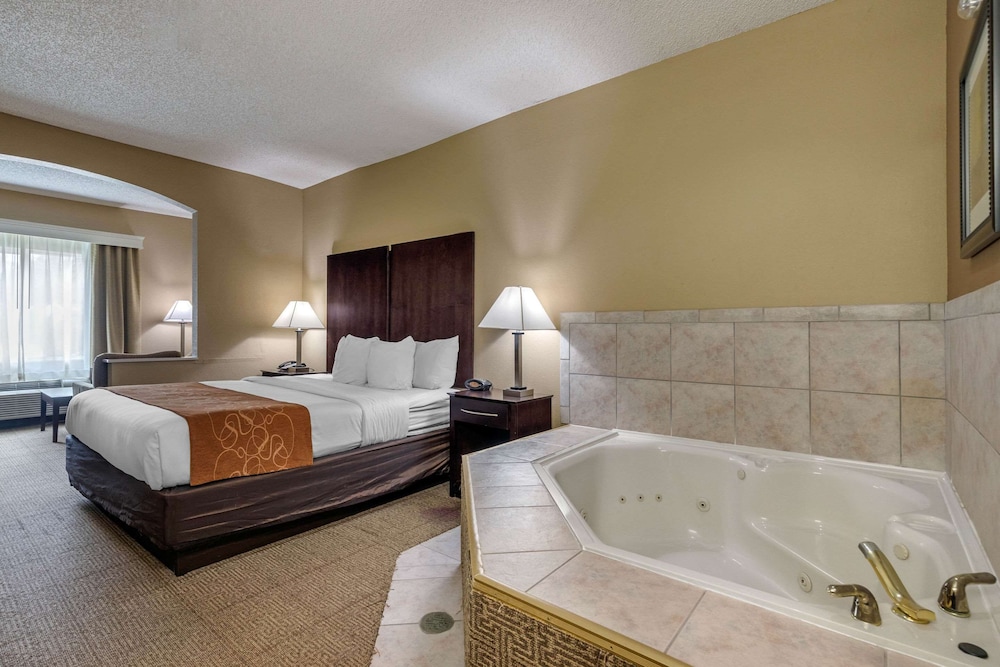 Comfort Suites The Colony Plano West - photo 5