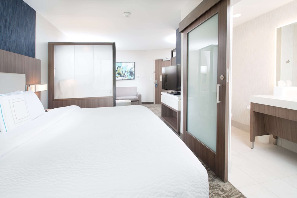 SpringHill Suites by Marriott Fayetteville Fort Bragg - photo 6