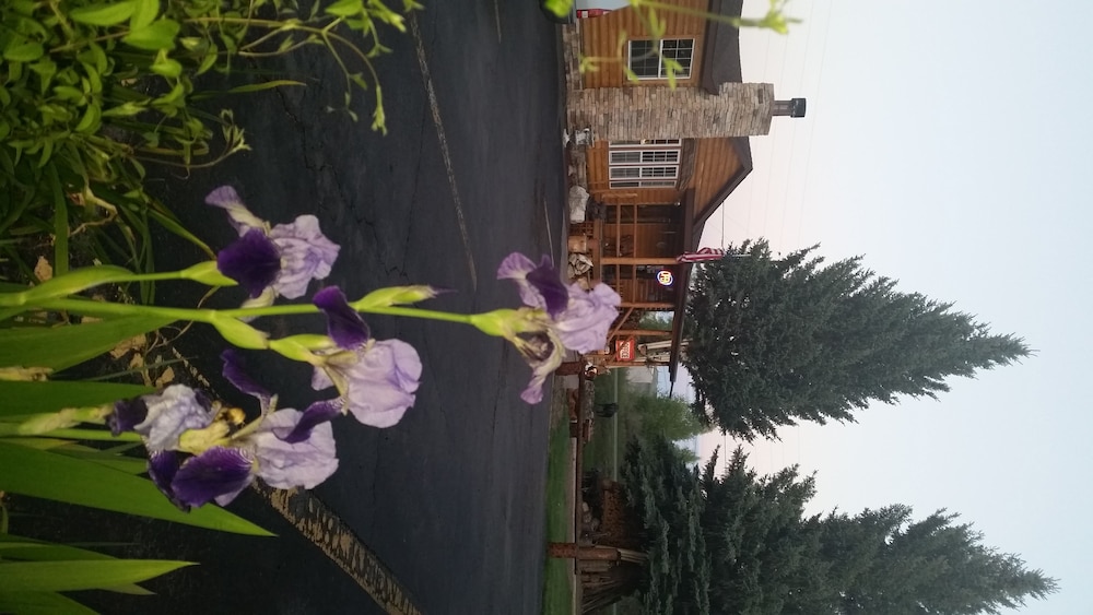 Long Holiday Motel - photo 38