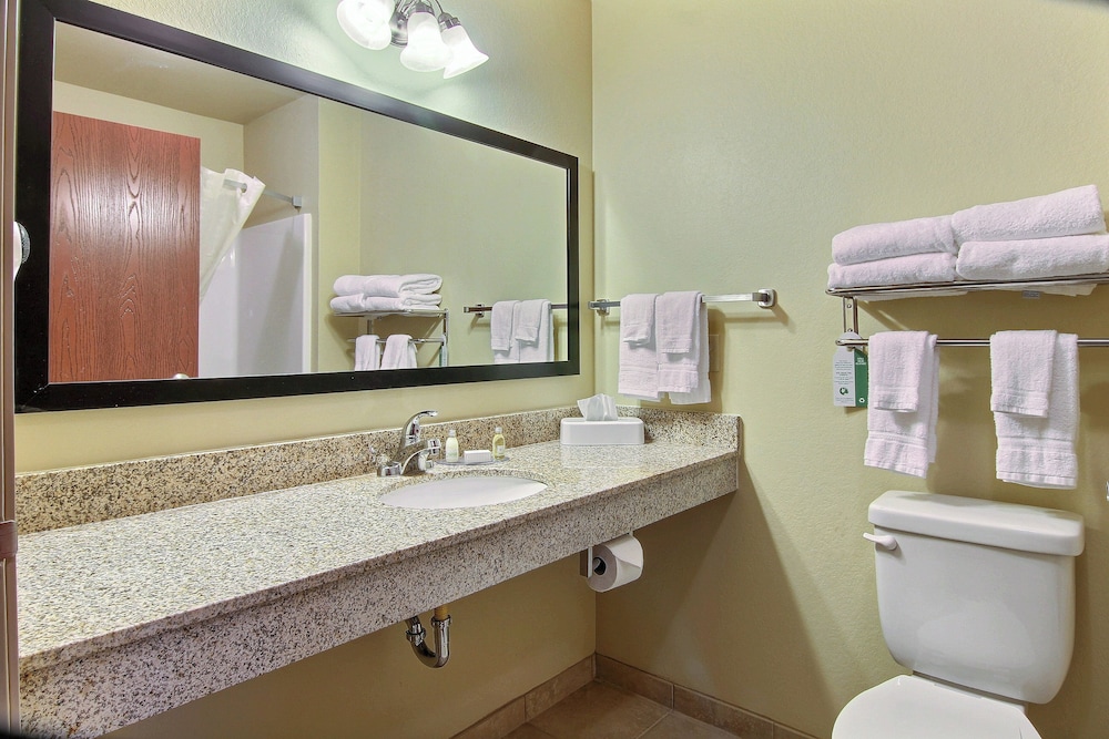 Cobblestone Hotel & Suites Beulah - photo 20