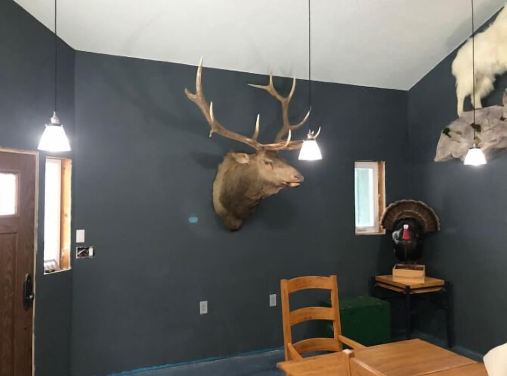 The Last Resort Lodge - photo 17