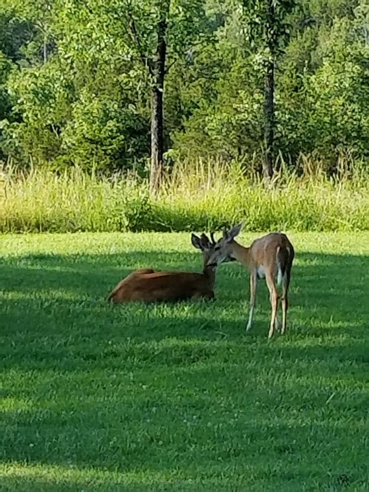 Fish un time Resort in Oakland, United States