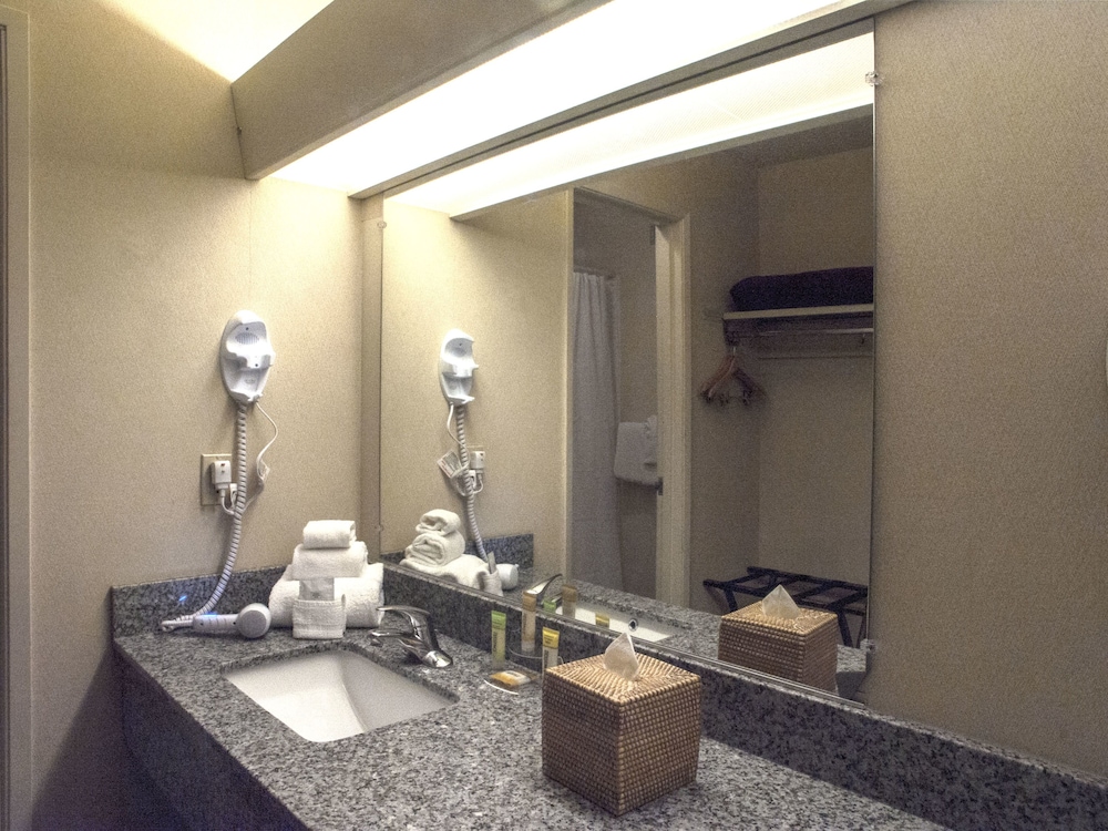 Inn At The Convention Center - photo 30