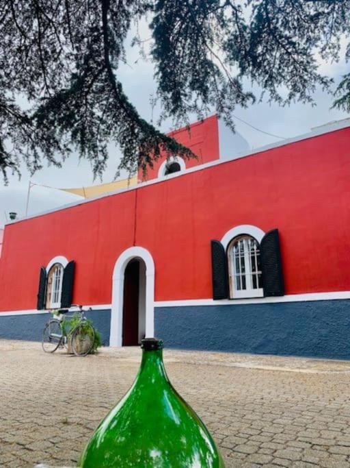 Casina foggia dell’albero in Putignano, Italy
