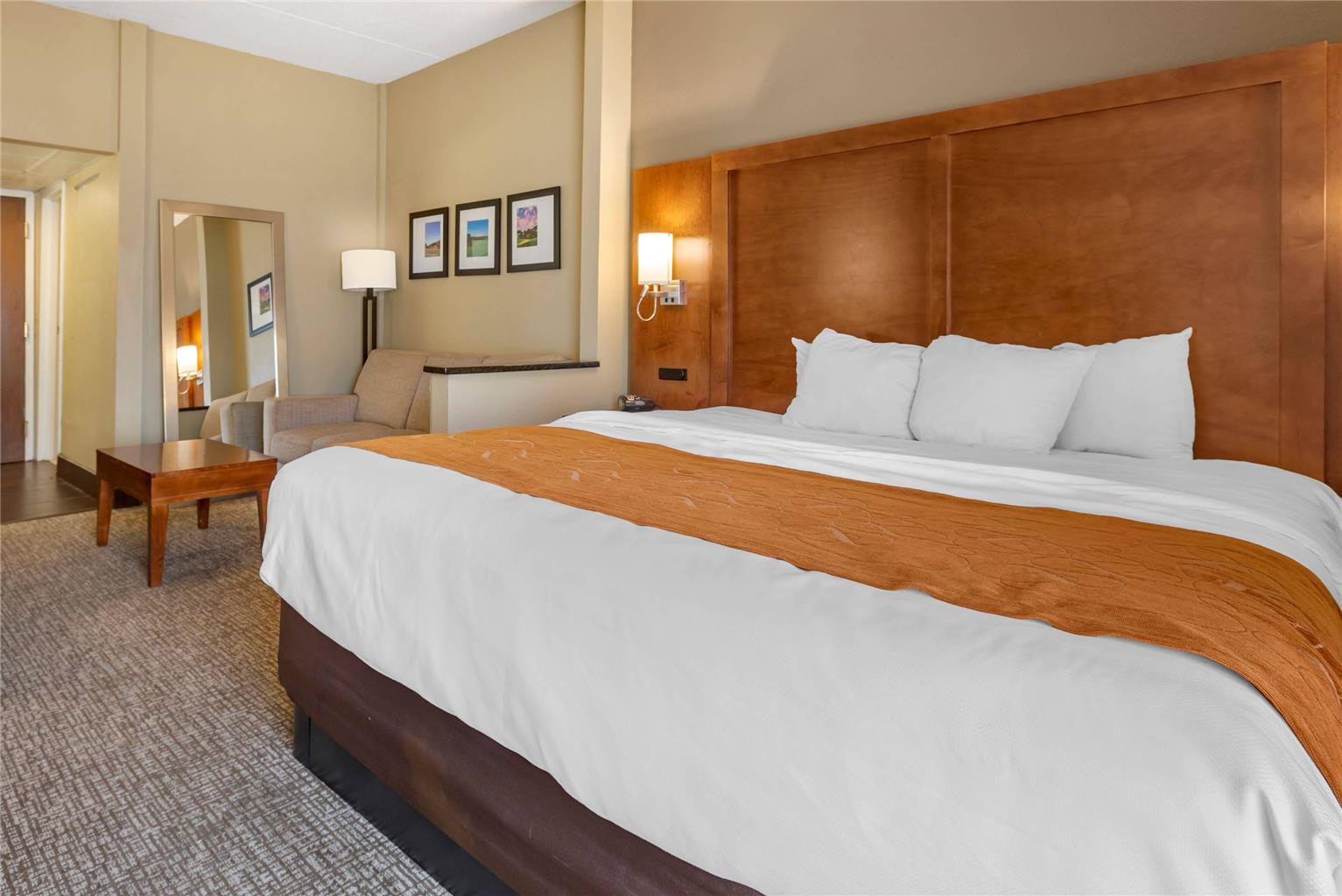 Comfort Suites Bethlehem Near Lehigh University and LVI Airport - photo 6