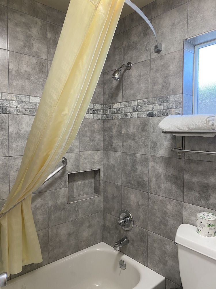 Holland Inn & Suites - photo 44