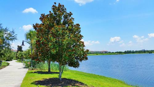Vista Cay Resort by Casiola Vacation Homes - photo 37
