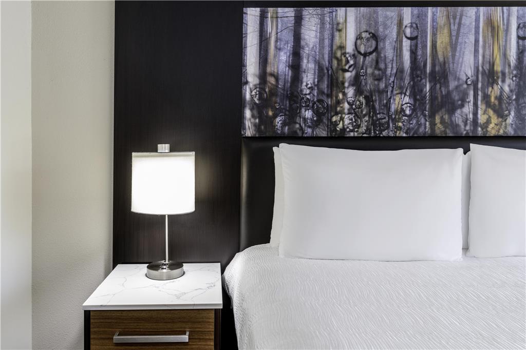 Aiden by Best Western Warm Springs Hotel and Event Center - photo 26