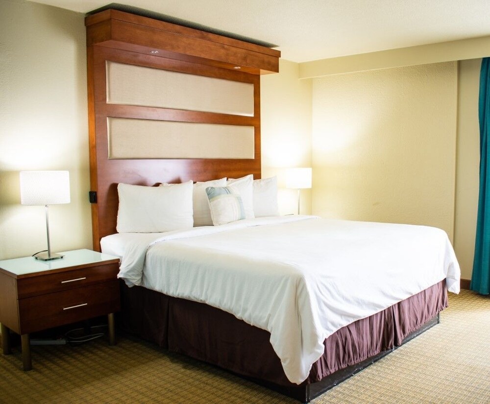 Punta Gorda Waterfront Hotel and Suites - photo 7