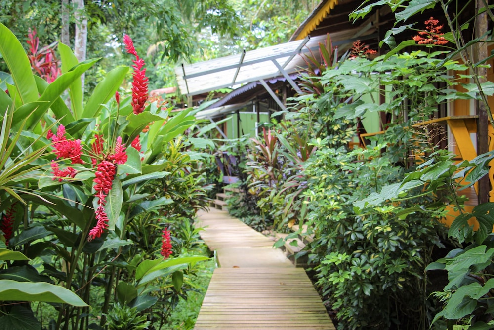 Secluded Beach Hotel in Puerto Viejo De Talamanca, Costa Rica